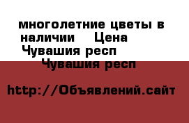 многолетние цветы в наличии  › Цена ­ 50 - Чувашия респ.  »    . Чувашия респ.